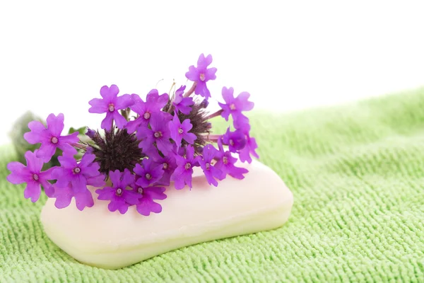 轻的绿色洗布与顶部，在白色背景上的紫色野花肥皂剧 — 图库照片