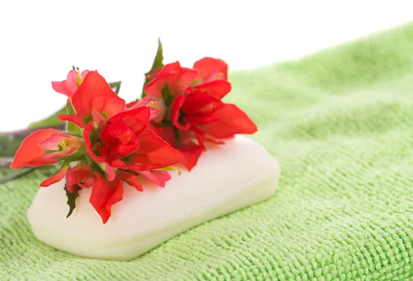 轻的绿色洗布与火热的红色野花，顶上，在白色背景上肥皂剧 — 图库照片