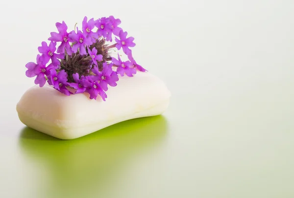 Soap 配上紫色的草原马鞭草花，梯度的绿色背景上 — 图库照片