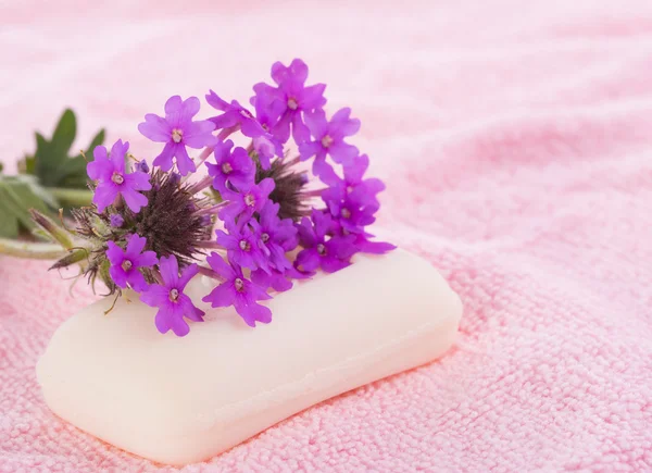 轻的粉红色洗布着顶上的紫色野花肥皂剧 — 图库照片