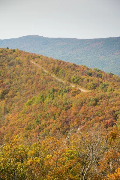 Talimena malerische Nebenstraße auf dem Kamm des Berges, mit Bäumen in Herbstfarben — Stockfoto