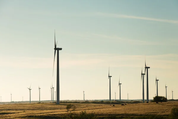 Silhouettes of wind mills in a rural area against late afternoon sky — Stock Photo, Image