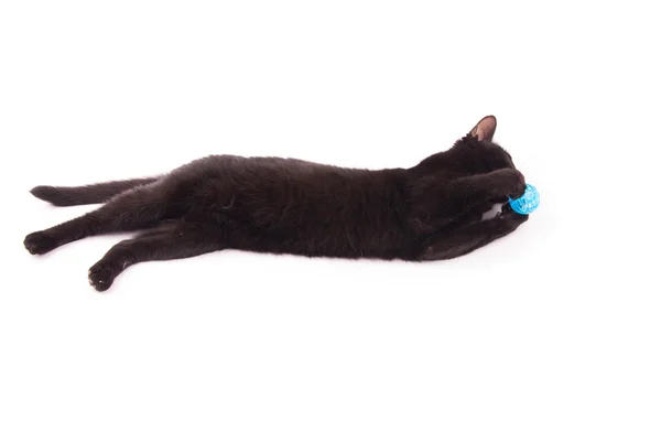 Preto gato mordendo no um azul bola enquanto segurando ele com ela patas no branco — Fotografia de Stock