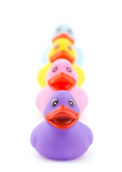 Line of colorful rubber ducklings, on white — Stock Photo, Image