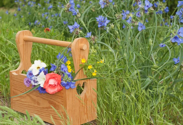 Wooden carrier box with spring flowers against a bed of wildflowers, with copy space — Stock Photo, Image