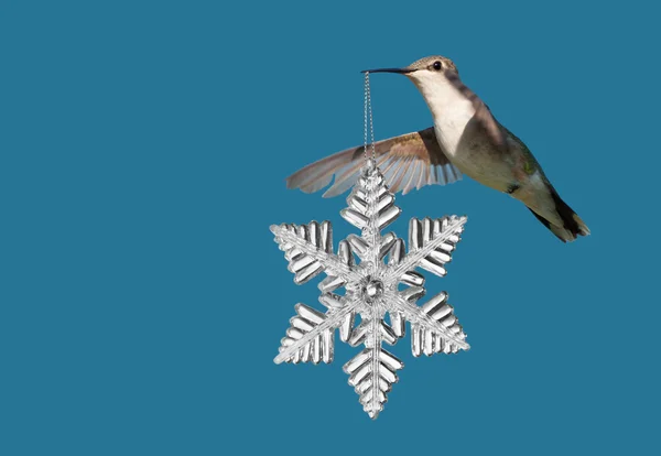 Hummingbird carrying a snowflake Christmas ornament on blue background, with copy space — Stock Photo, Image