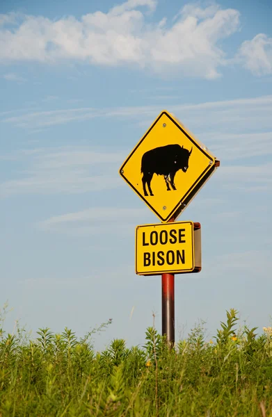 Loose bison sign on prairie preserve — Stock Photo, Image