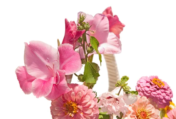 Εικόνα closeup των ροζ λουλουδιών σε ένα καλάθι, σε λευκό — Φωτογραφία Αρχείου