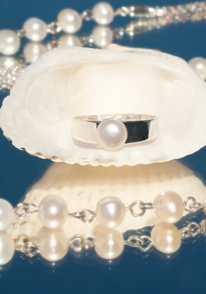 Silver ring with a single pearl inside a seashell — Stock Photo, Image