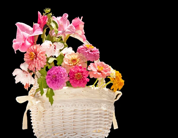 Flower basket against dark background — Stock Photo, Image