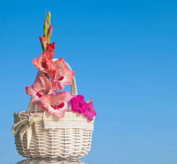 Pink Gladiolus and Petunia flowers in a white wicker basket, with copy space — Stock Photo, Image