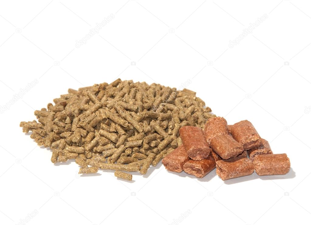 Pelleted horse feed and treats on white