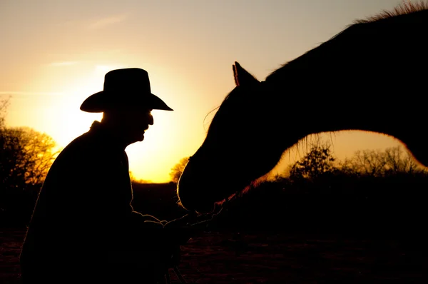 Cavalo a aproximar-se da sua pessoa de confiança, um homem de chapéu de cowboy, silhueta contra o pôr-do-sol de inverno — Fotografia de Stock