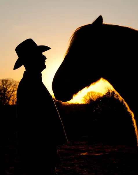 Silhueta de um cowboy e seu cavalo grande contra o pôr do sol, cara a cara — Fotografia de Stock