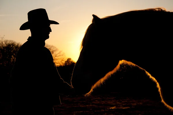 Silhueta de um homem de chapéu de cowboy com seu cavalo contra o pôr do sol — Fotografia de Stock