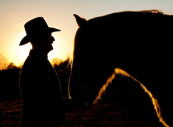 Silueta de un hombre en un sombrero de vaquero con su caballo contra el cielo del atardecer — Foto de Stock