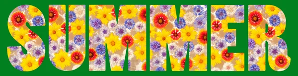 Colorful summer text with wildflowers on green background — Stock Photo, Image