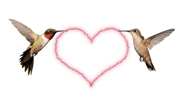 Dos colibríes llevando un corazón de San Valentín — Foto de Stock