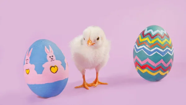 Polluelo bebé con dos coloridos huevos de Pascua —  Fotos de Stock