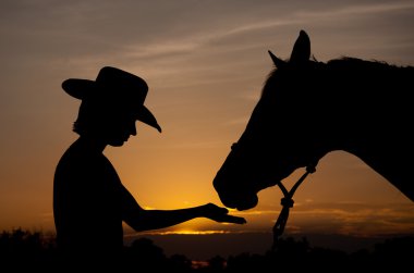 Silhouette of a girl in a cowboy hat with her horse - best friends together clipart