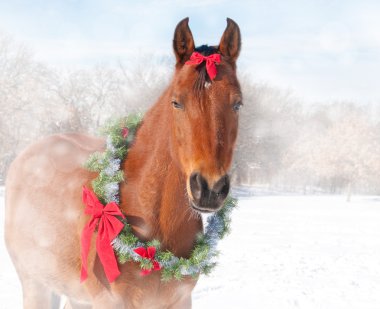Bir Noel çelenk ve fiyonk takmış kırmızı bir defne at rüya gibi görüntü