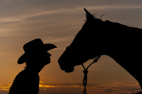 一个女孩在一顶牛仔帽，与她的马，鼻子对鼻子-合作伙伴在日落时的剪影 — 图库照片