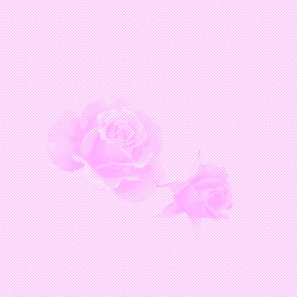 Delicado fondo femenino con rosas en forma de puntos sobre un fondo punteado —  Fotos de Stock