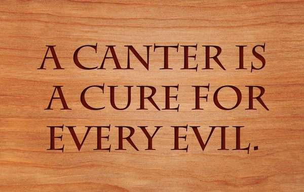 Um canter é uma cura para cada mal - citação sobre fundo de carvalho vermelho de madeira — Fotografia de Stock