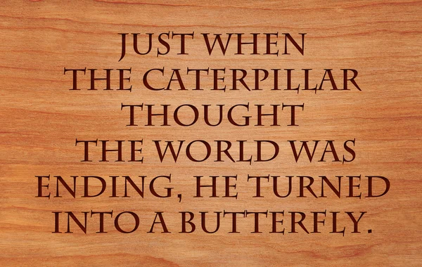 Justamente quando a lagarta pensou que o mundo estava terminando, ele se transformou em uma borboleta - um velho provérbio em carvalho vermelho de madeira — Fotografia de Stock