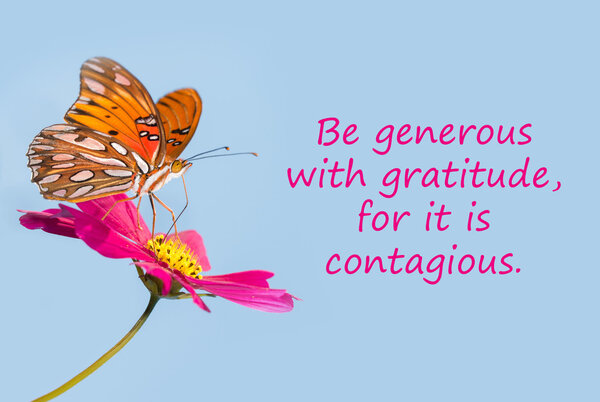 Butterfly on a pink flower with a quote - Be generous with gratitude, for it is contagious