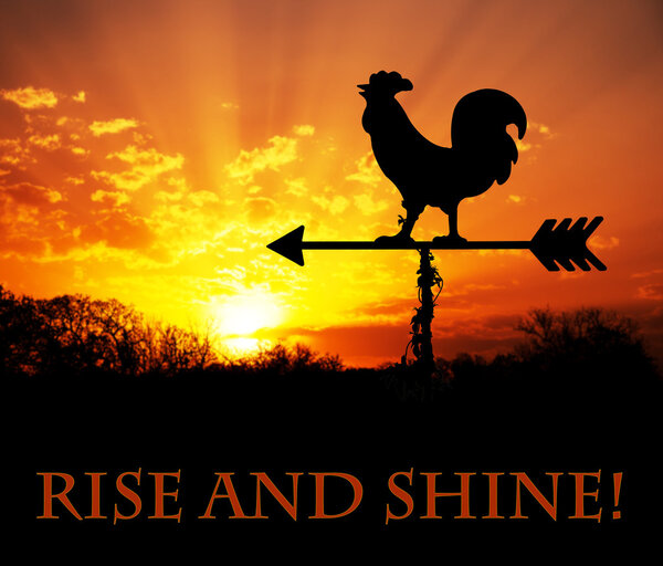 Розовая погода против восхода солнца, с Rise and Shine - текст, встань и будь ужасен сегодня
