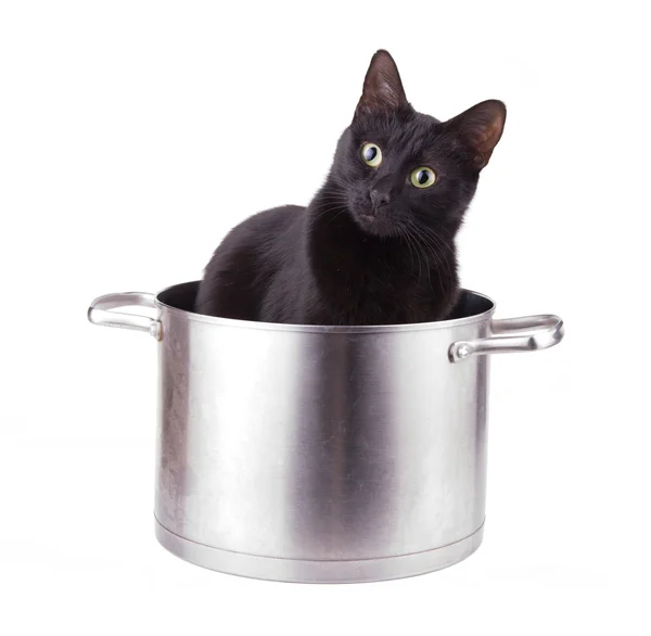 Humorous image of a black cat sitting in a large sauce pot — Stock Photo, Image