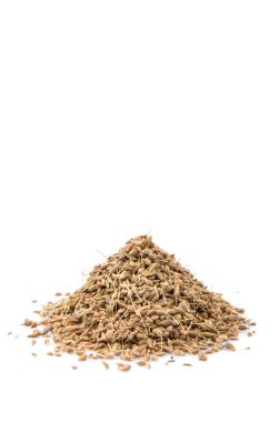 Anason veya anason tohumu baharat beyaz arka plan üzerinde kurutulmuş