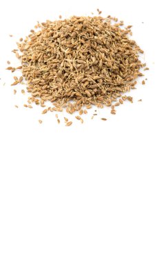 Anason veya anason tohumu baharat beyaz arka plan üzerinde kurutulmuş