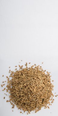 Anason veya anason tohumu baharat beyaz arka plan üzerinde kurutulmuş