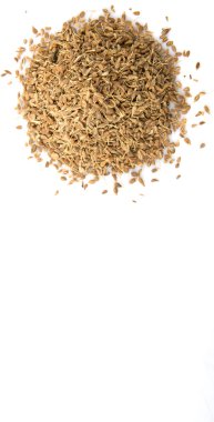 Anason veya anason tohumu baharat beyaz arka plan üzerinde kurutulmuş