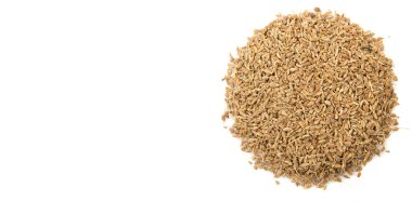 Anason veya anason tohumu baharat beyaz arka plan üzerinde kurutulmuş