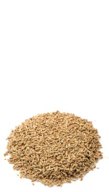 Anason veya anason tohumu baharat beyaz arka plan üzerinde kurutulmuş