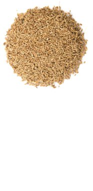Anason veya anason tohumu baharat beyaz arka plan üzerinde kurutulmuş