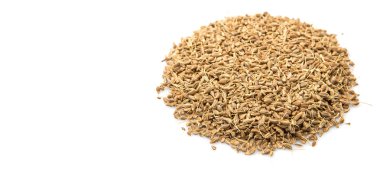 Anason veya anason tohumu baharat beyaz arka plan üzerinde kurutulmuş