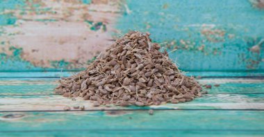 Kurutulmuş anason baharat