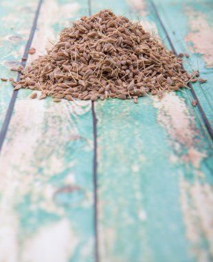 Kurutulmuş anason baharat