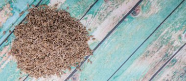 Kurutulmuş anason baharat