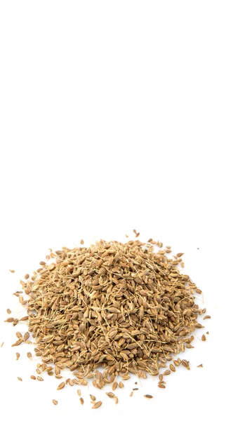 Dried Aniseed Anise Seed Spice White Background — Stock Photo, Image