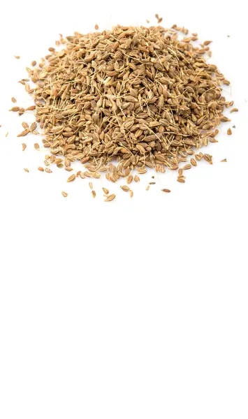 Anason veya anason tohumu baharat beyaz arka plan üzerinde kurutulmuş