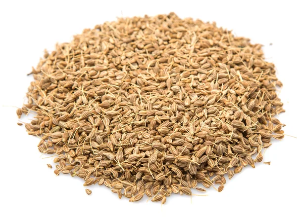 Dried Aniseed Spice — Stock Photo, Image