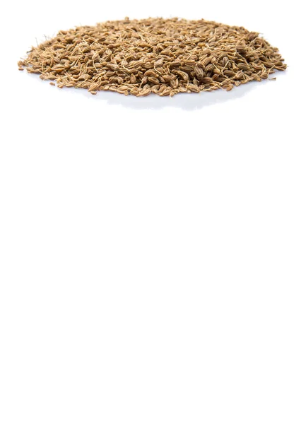 Dried Aniseed Anise Seed Spice White Background — Stock Photo, Image