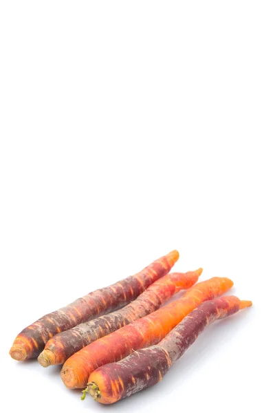 Carota fresca colorata — Foto Stock