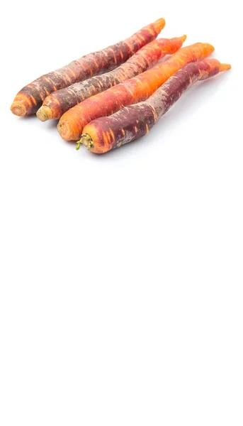 Kleurrijke verse wortel — Stockfoto
