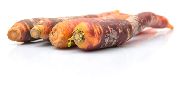 Zanahoria fresca colorida — Foto de Stock